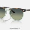 adelaars oog gepolijst havana op transparant groen/groen XX46DZ248 Heren Ray-Ban zonnebril