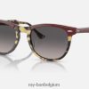 adelaars oog glanzend bordeaux op geel havana/grijs XX46DZ251 Heren Ray-Ban zonnebril