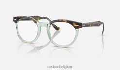 adelaarsoog optiek gepolijst havana op transparant groen XX46DZ1683 Heren Ray-Ban bril