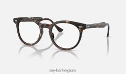 adelaarsoog optiek gepolijst havanna XX46DZ1684 Heren Ray-Ban bril