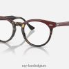adelaarsoog optiek glanzend bordeaux op geel havana XX46DZ1682 Heren Ray-Ban bril