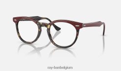 adelaarsoog optiek glanzend bordeaux op geel havana XX46DZ1682 Heren Ray-Ban bril