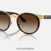Bonnie gepolijst havana op goud/bruin XX46DZ360 Heren Ray-Ban zonnebril
