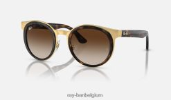 Bonnie gepolijst havana op goud/bruin XX46DZ360 Heren Ray-Ban zonnebril