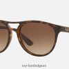 brad mat havana/bruin XX46DZ1271 Heren Ray-Ban zonnebril