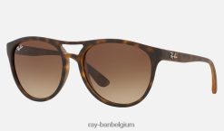 brad mat havana/bruin XX46DZ1271 Heren Ray-Ban zonnebril