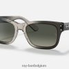 burbank gepolijst transparant grijs/grijs XX46DZ286 Heren Ray-Ban zonnebril