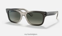 burbank gepolijst transparant grijs/grijs XX46DZ286 Heren Ray-Ban zonnebril