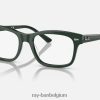 Burbank-optiek gepolijst groen XX46DZ1732 Heren Ray-Ban bril