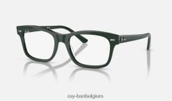 Burbank-optiek gepolijst groen XX46DZ1732 Heren Ray-Ban bril