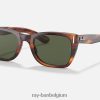 caraïben glanzend gestreept havana/groen XX46DZ415 Heren Ray-Ban zonnebril