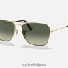 caravan gepolijst goud/grijs XX46DZ548 Heren Ray-Ban zonnebril