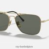 caravan titanium mat goud/groen XX46DZ1060 Heren Ray-Ban zonnebril