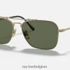 caravan titanium mat goud/groen XX46DZ1071 Heren Ray-Ban zonnebril