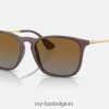 Chris gepolijst transparant bruin/bruin XX46DZ234 Heren Ray-Ban zonnebril