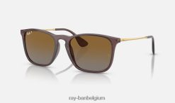 Chris gepolijst transparant bruin/bruin XX46DZ234 Heren Ray-Ban zonnebril