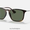 Chris glanzend licht havanna/groen XX46DZ231 Heren Ray-Ban zonnebril
