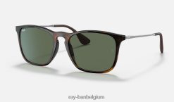 Chris glanzend licht havanna/groen XX46DZ231 Heren Ray-Ban zonnebril