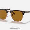 clubmaster klassieker gepolijst havana/bruin XX46DZ55 Heren Ray-Ban zonnebril