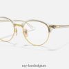clubronde optiek gepolijst transparant XX46DZ1869 Heren Ray-Ban bril
