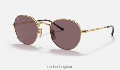 david gepolijst goud/paars XX46DZ1427 Heren Ray-Ban zonnebril