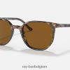 elliot gepolijst havannabruin grijs/bruin XX46DZ1395 Heren Ray-Ban zonnebril