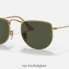 elon gepolijst goud/groen XX46DZ236 Heren Ray-Ban zonnebril