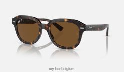 erik gepolijst havana/bruin XX46DZ204 Heren Ray-Ban zonnebril
