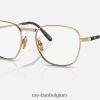frank ii titaniumoptiek gepolijst goud XX46DZ2160 Heren Ray-Ban bril