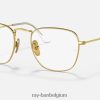 frank titanium optiek gepolijst goud XX46DZ2486 Heren Ray-Ban bril