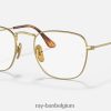 frank titanium optiek gepolijst goud XX46DZ2487 Heren Ray-Ban bril