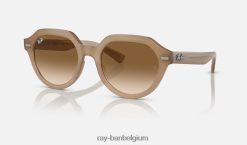 gina gepolijst tortelduif/bruin XX46DZ384 Heren Ray-Ban zonnebril