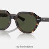 gina glanzend havana/groen XX46DZ386 Heren Ray-Ban zonnebril
