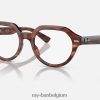 gina-optiek gepolijst gestreept havana XX46DZ1714 Heren Ray-Ban bril
