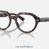gina-optiek gepolijst havanna XX46DZ1713 Heren Ray-Ban bril