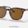 haviksoog gepolijst gestreept havana/bruin XX46DZ175 Heren Ray-Ban zonnebril