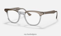 Hawkeye-optiek gepolijst transparant bruin XX46DZ1613 Heren Ray-Ban bril