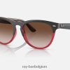 iris gepolijst grijs op transparant rood/bruin XX46DZ1091 Heren Ray-Ban zonnebril