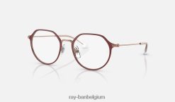 jack-optiek mat bordeaux op roségoud XX46DZ2683 kinderen Ray-Ban bril