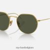 jack titanium gepolijst goud/groen XX46DZ581 Heren Ray-Ban zonnebril
