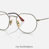 jack titanium optiek mat goud XX46DZ2183 Heren Ray-Ban bril