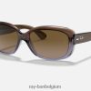 Jacky ohh gepolijst bruin/bruin XX46DZ1564 vrouwen Ray-Ban zonnebril