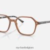 john optiek gepolijst transparant bruin XX46DZ1817 Heren Ray-Ban bril