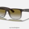 justin klassiek mat bruin/groen XX46DZ40 Heren Ray-Ban zonnebril