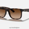 justin klassiek mat havana/donkerbruin XX46DZ39 Heren Ray-Ban zonnebril