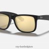 justin kleurenmix mat zwart/goud XX46DZ87 Heren Ray-Ban zonnebril