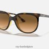 katten 1000 gepolijst licht havana/lichtbruin XX46DZ1567 vrouwen Ray-Ban zonnebril