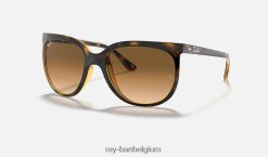 katten 1000 gepolijst licht havana/lichtbruin XX46DZ1567 vrouwen Ray-Ban zonnebril