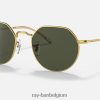 krik gepolijst goud/groen XX46DZ69 Heren Ray-Ban zonnebril