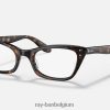 lady burbank optiek gepolijst havanna XX46DZ1949 Heren Ray-Ban bril